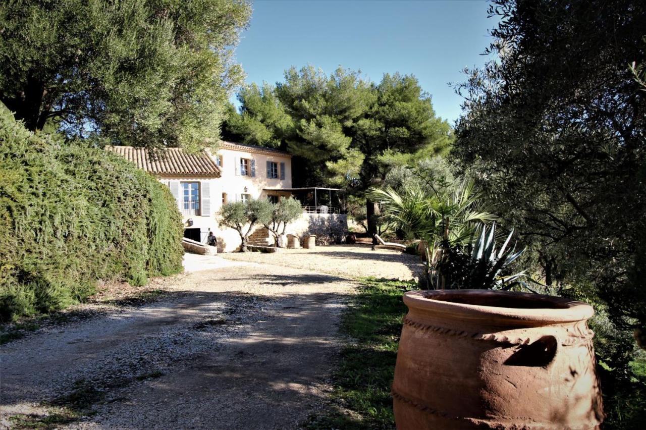 Villa des Oliviers Sanary-sur-Mer Extérieur photo