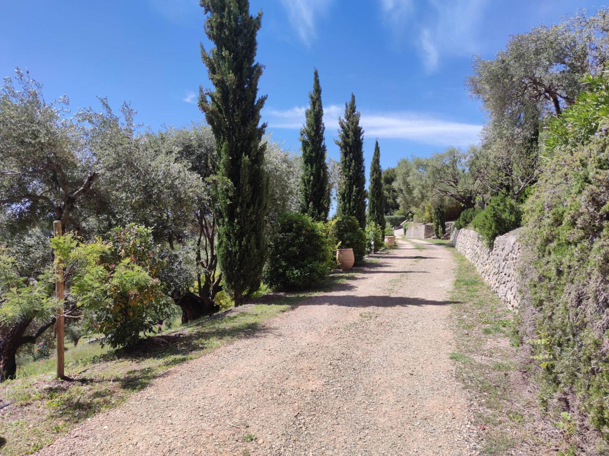 Villa des Oliviers Sanary-sur-Mer Extérieur photo