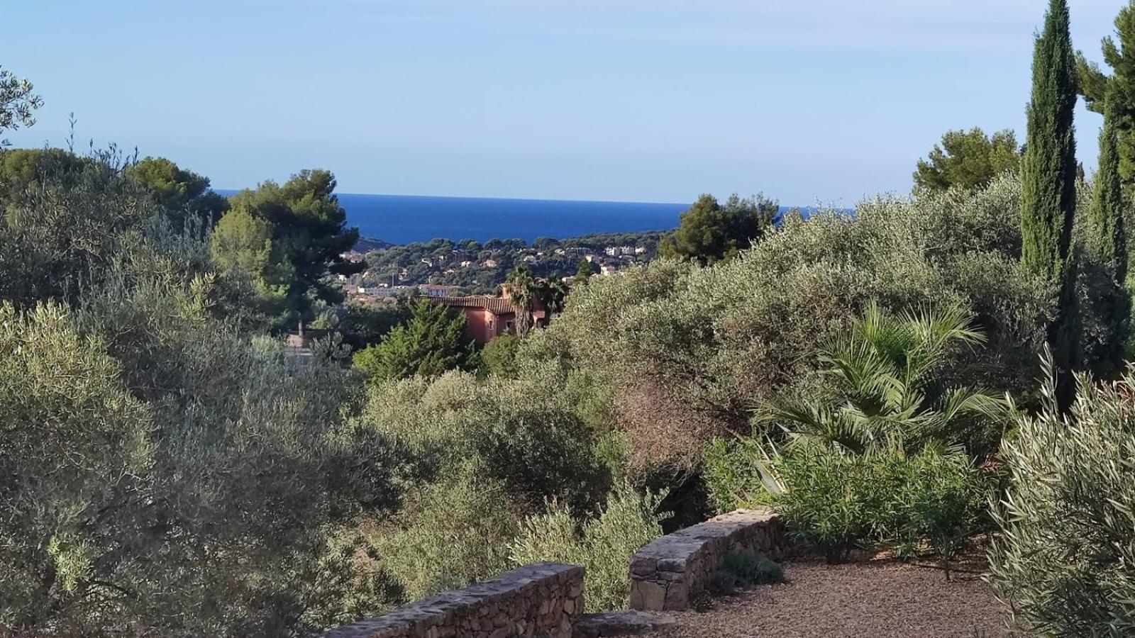 Villa des Oliviers Sanary-sur-Mer Extérieur photo